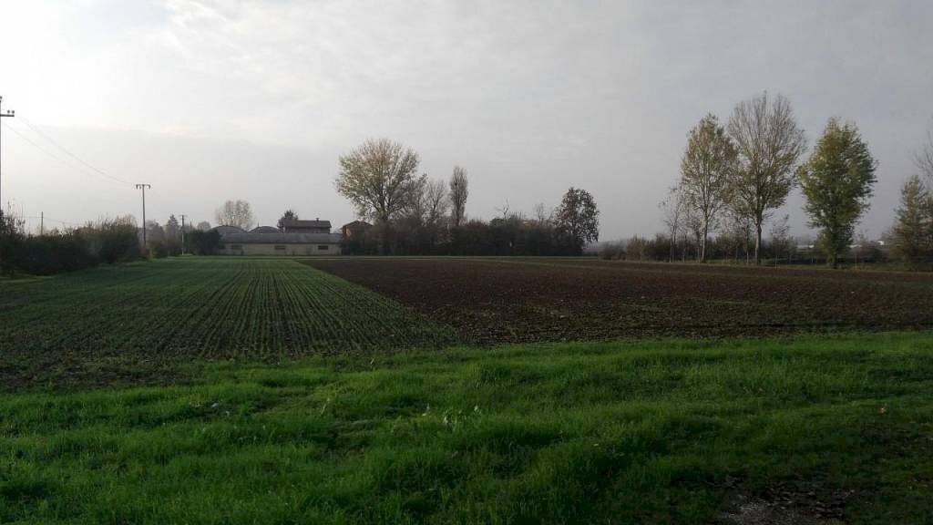 p 20181115 154846 - Villa via LIMIDI, Soliera - photo 3