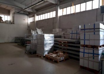 28a1f490 f157 4e45 a9ae dbc7273c7992 - Capannone via Lucania, Carpi - foto 4