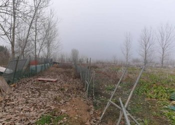 13e6565f 6494 4c32 bb6f 25007f707392 - Warehouse Carpi - photo 10