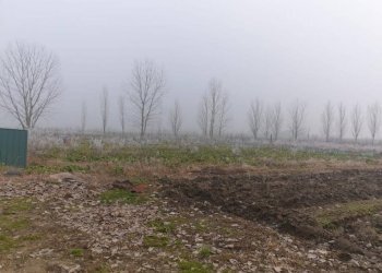 22a2d9e5 17fb 4d10 be7f 746f4d05a745 - Warehouse Carpi - photo 11