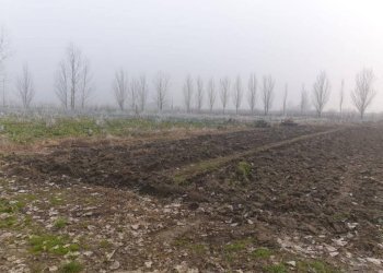 4469bac1 1fcf 4c26 837c 0889fd61b273 - Warehouse Carpi - photo 12