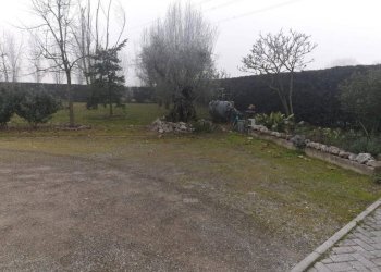 4e1d681d 39fa 45da 9333 2c070dd7d7f2 - Warehouse Carpi - photo 13