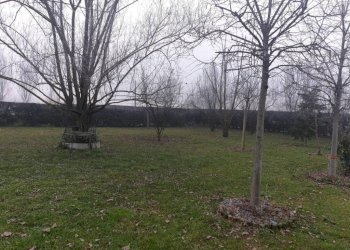 97eada5b 8e8a 4b29 9855 70ec8840581f - Warehouse Carpi - photo 14