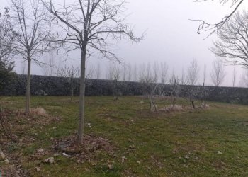 b12c0bfa e8e2 4971 870b 1ce695b49b0c - Warehouse Carpi - photo 15