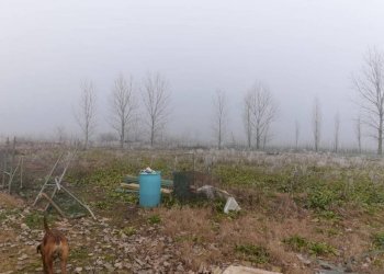 695a2adf a4f9 489b b84b 712c54fbcb82 - Warehouse Carpi - photo 20