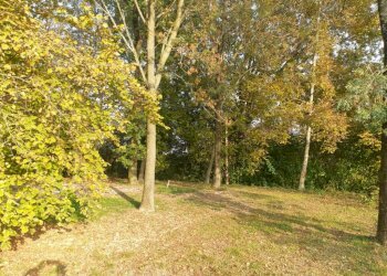 20221027 161938 - Terreno agricolo via ARDIONE, Correggio - foto 4