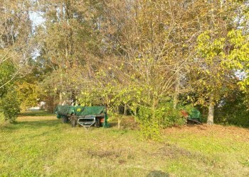 20221027 162017 - Terreno agricolo via ARDIONE, Correggio - foto 6