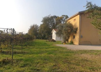 20221027 162044 - Terreno agricolo via ARDIONE, Correggio - foto 7
