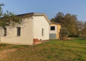 20221027 162134 - Terreno agricolo via ARDIONE, Correggio - foto 9