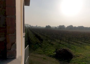 20221027 162522 - Terreno agricolo via ARDIONE, Correggio - foto 11