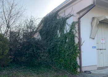 img 1462 - Capannone via GIOVANNI VERGA 16, Novi di Modena - foto 6