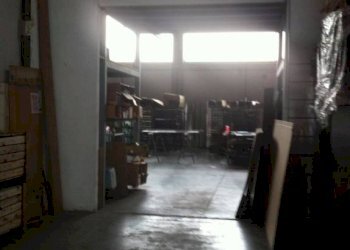 Shed Soliera - photo 4