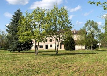 img 0699 - Rustico Carpi - foto 5