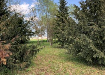 img 0506 - Rustico Carpi - foto 9