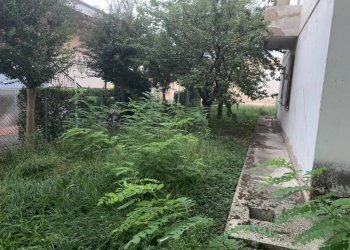 img 0203 - Villa via NOVI, Novi di Modena - foto 2