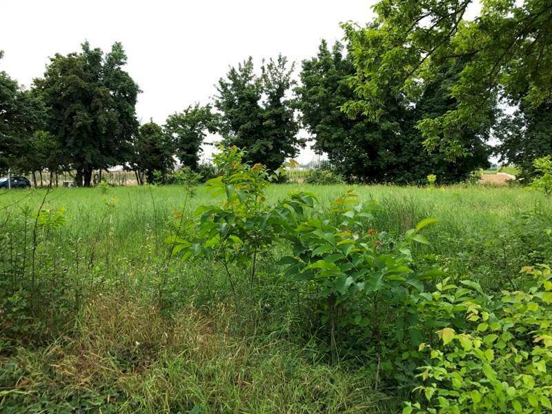 img 7023 - Villa NUOVA PONENTE, Carpi - photo 2