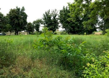 img 7023 - Villa NUOVA PONENTE, Carpi - foto 2
