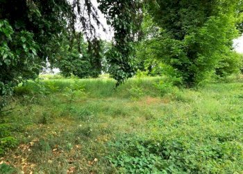 img 7026 - Villa NUOVA PONENTE, Carpi - foto 7