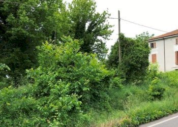 foto 1 - Villa NUOVA PONENTE, Carpi - foto 8