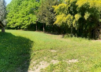 20220429 111722 - Rustico ROLO, Rolo - foto 10