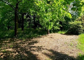 20220429 111844 - Rustico ROLO, Rolo - foto 11