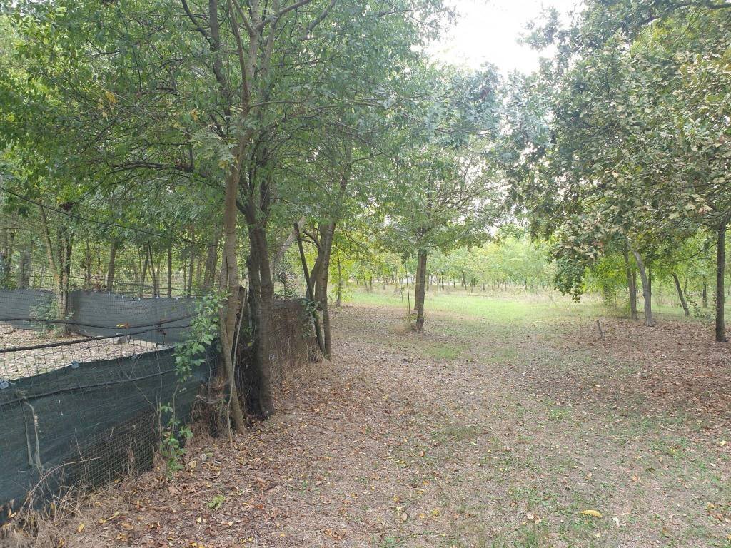 Rustic Stradello Morello, Soliera - photo 2