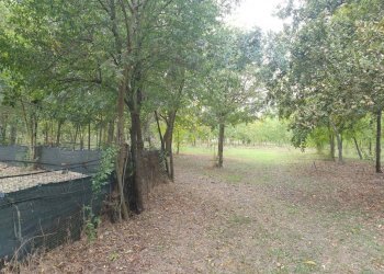 Rustic Stradello Morello, Soliera - photo 2