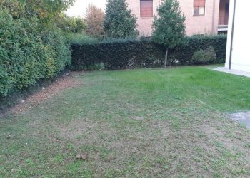 20221026 180218 - Casa indipendente via FALLOPPIA, Carpi - foto 2