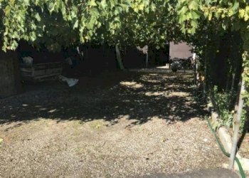 foto 06 - Agricultural land Carpi - photo 6