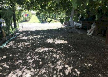 foto 09 - Agricultural land Carpi - photo 9