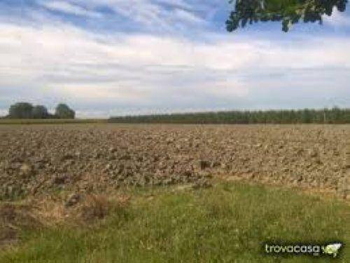 foto 03 - Agricultural land San Prospero - photo 3