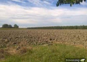 foto 10 - Agricultural land San Prospero - photo 10