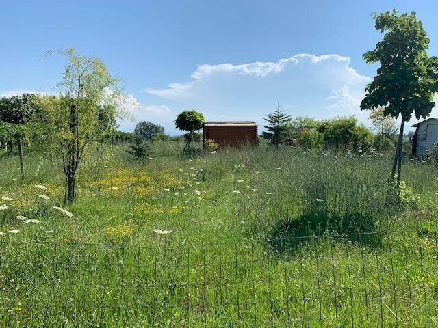 img 7995 - Terreno agricolo via CARLO MARX 170, Carpi - foto 2