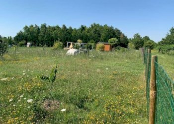 img 7997 - Terreno agricolo via CARLO MARX 170, Carpi - foto 5