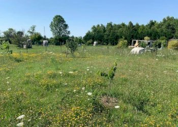 img 7998 - Terreno agricolo via CARLO MARX 170, Carpi - foto 6