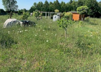 img 8002 - Terreno agricolo via CARLO MARX 170, Carpi - foto 8