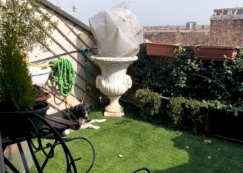 20220319 131533 - Attico piazzale RAMAZZINI, Carpi - foto 4