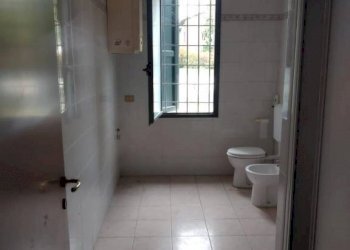 photo 2021 04 06 17 42 55  2 - Capannone via PRATO, Correggio - foto 7