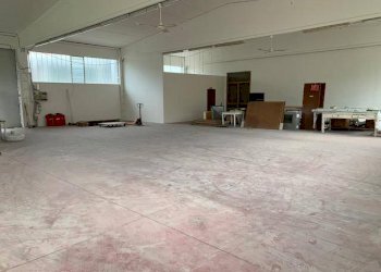 000  img 9461 - Shop via GRANDI, Concordia sulla Secchia - photo 1