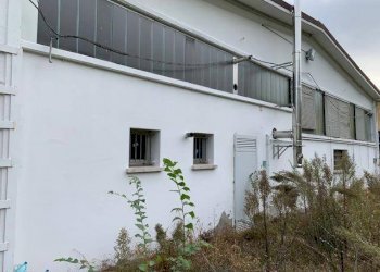 011  img 9466 - Shop via GRANDI, Concordia sulla Secchia - photo 9