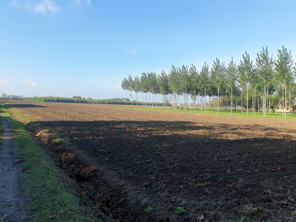 20221001 095654 - Terreno edificabile Bomporto - foto 1