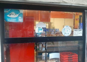 img 20221223 wa0053 - Alimentari - Gastronomia via CARLO MARX, Carpi - foto 1