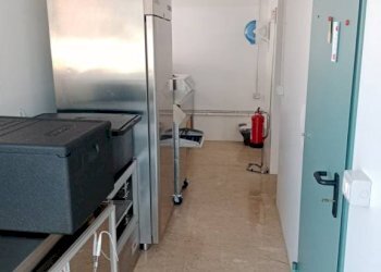 img 20230619 161320 - Pasticceria Moglia - foto 10