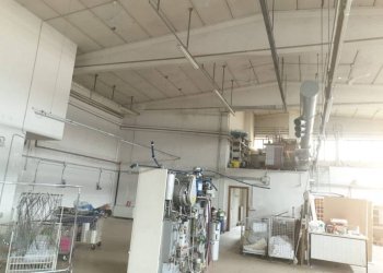 img 20230830 wa0016 - Capannone via TOSCANA, Carpi - foto 6