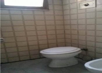 foto 3 - Negozio Carpi - foto 3