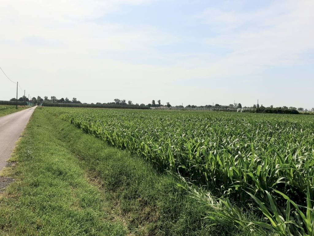 img 20230623 wa0059 - Rustico via BORSARA, Bomporto - foto 2