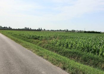 img 20230623 wa0058 - Rustico via BORSARA, Bomporto - foto 1