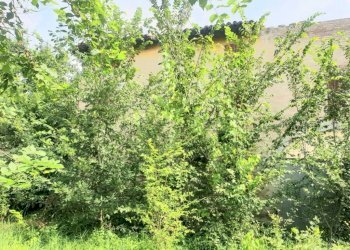 img 20230623 wa0065 - Rustico via BORSARA, Bomporto - foto 4