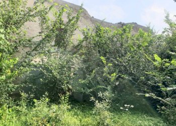 img 20230623 wa0067 - Rustico via BORSARA, Bomporto - foto 5