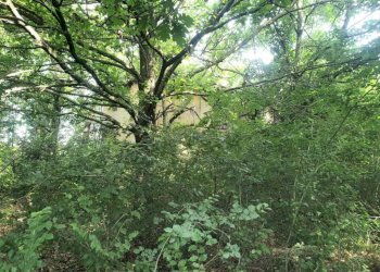 img 20230623 wa0062 - Rustico via BORSARA, Bomporto - foto 6